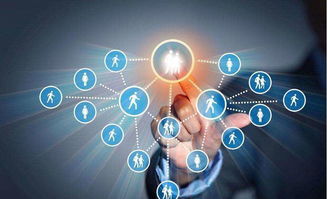 為何越來越多的人做京東新型店群項目,與傳統模式相比有什么優勢